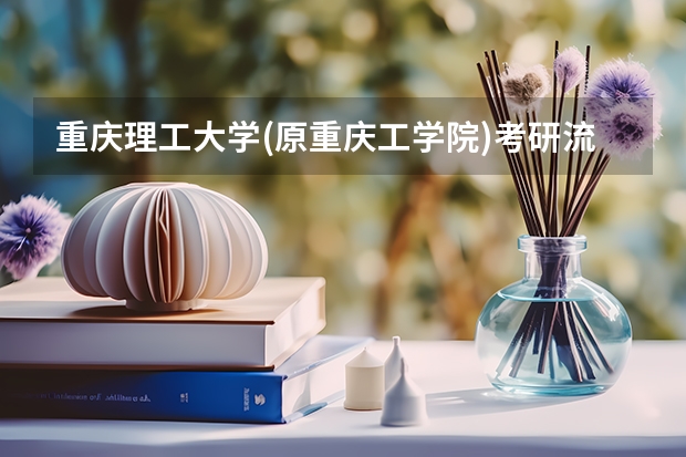 重庆理工大学(原重庆工学院)考研流程 重庆理工大学(原重庆工学院)考研复试大纲