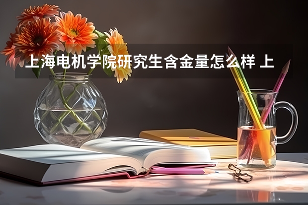 上海电机学院研究生含金量怎么样 上海电机学院研究生学费贵不贵