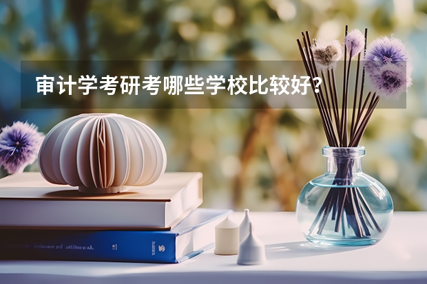 审计学考研考哪些学校比较好？