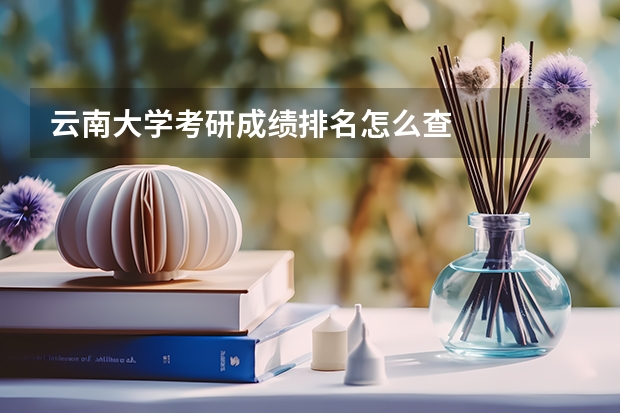 云南大学考研成绩排名怎么查