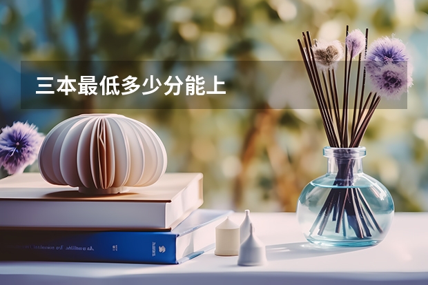 三本最低多少分能上
