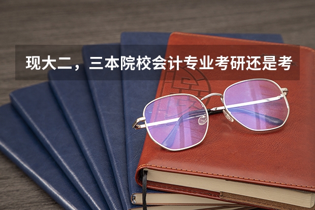现大二，三本院校会计专业考研还是考注会？ 我是三本院校大三的会计专业学生，请教有关是否考研和考注会以及工作前景问题。有经验者进&hellip;&hellip; 我读三本院校的财务管理专业，现在大3，不知道是考研还是考公务员还是找工作？请指点迷津~