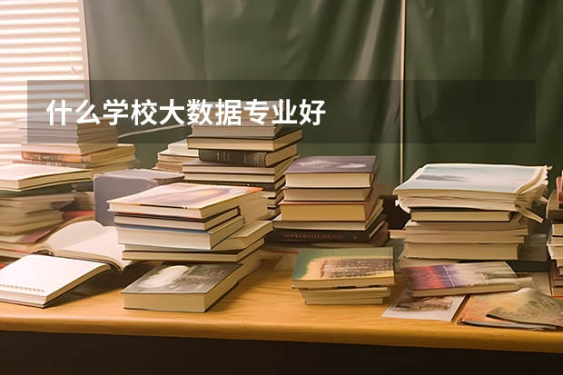 什么学校大数据专业好
