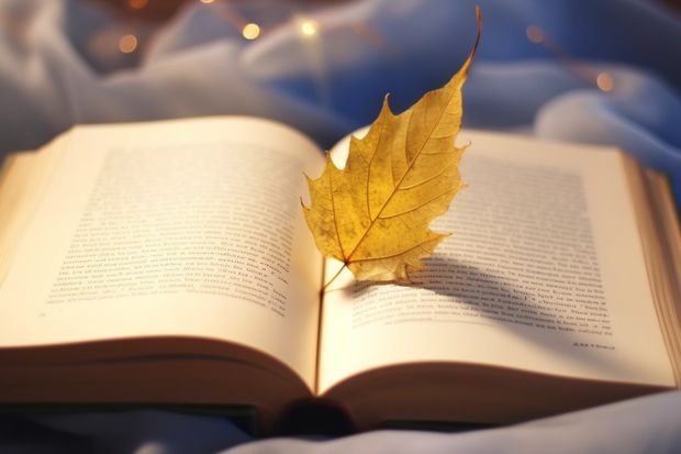 请问会计类的研究生各个学校学硕和专硕学费是多少?