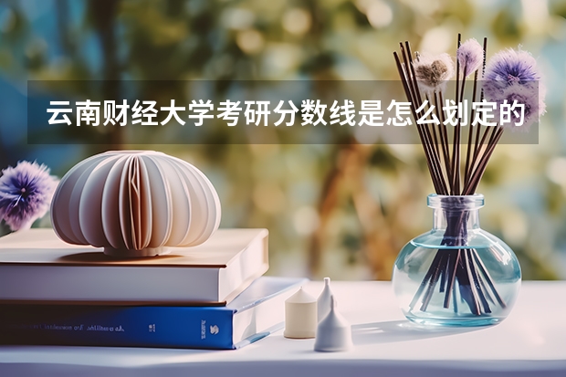云南财经大学考研分数线是怎么划定的
