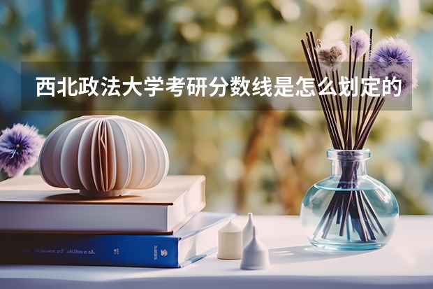西北政法大学考研分数线是怎么划定的