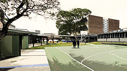 Swinburne Senior Secondary Collegelogo图片