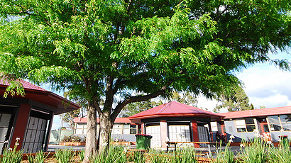 Maribyrnong Collegelogo图片