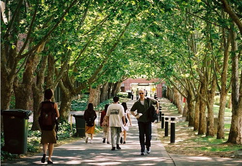 澳大利亚悉尼工商技术学院（麦考瑞大学）logo图片