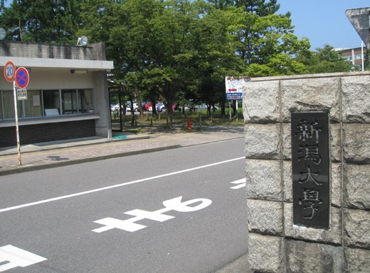 新潟大学logo图片