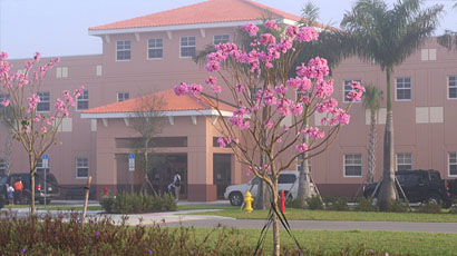 艾武玛里亚多纳序学院